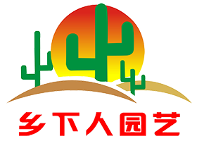 中国仙人联盟